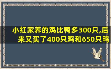 小红家养的鸡比鸭多300只,后来又买了400只鸡和650只鸭