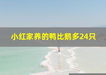 小红家养的鸭比鹅多24只