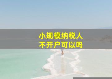 小规模纳税人不开户可以吗