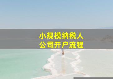 小规模纳税人公司开户流程