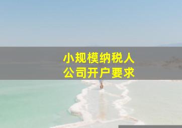 小规模纳税人公司开户要求