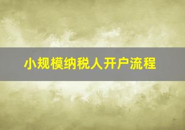 小规模纳税人开户流程