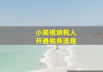 小规模纳税人开通税务流程