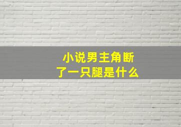 小说男主角断了一只腿是什么