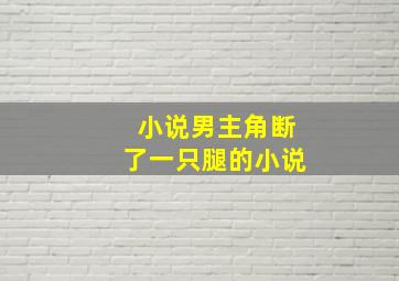 小说男主角断了一只腿的小说