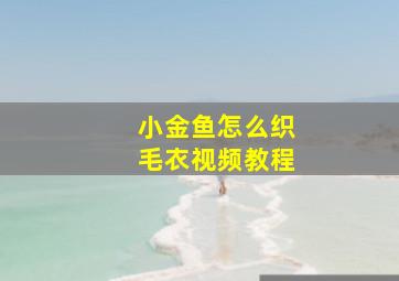 小金鱼怎么织毛衣视频教程