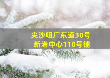 尖沙咀广东道30号新港中心110号铺