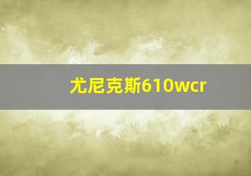 尤尼克斯610wcr