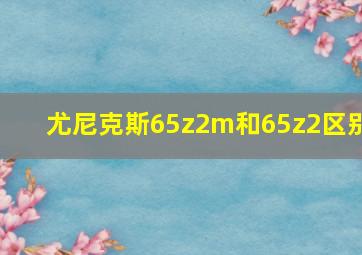 尤尼克斯65z2m和65z2区别