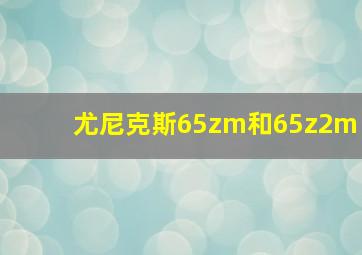 尤尼克斯65zm和65z2m