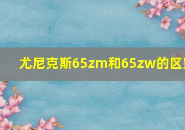 尤尼克斯65zm和65zw的区别