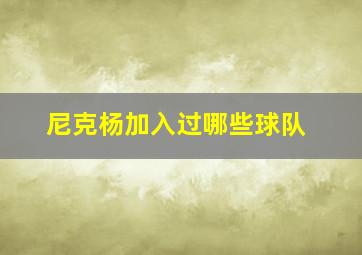 尼克杨加入过哪些球队