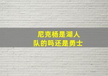 尼克杨是湖人队的吗还是勇士