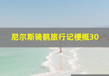 尼尔斯骑鹅旅行记梗概30