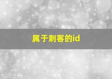 属于刺客的id