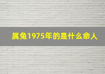 属兔1975年的是什么命人