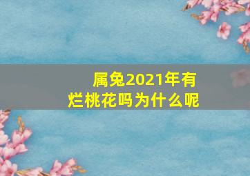 属兔2021年有烂桃花吗为什么呢