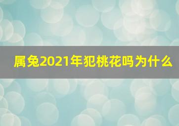 属兔2021年犯桃花吗为什么