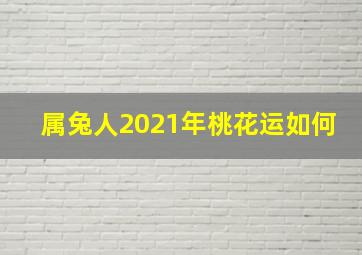 属兔人2021年桃花运如何