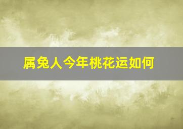 属兔人今年桃花运如何