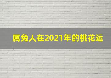 属兔人在2021年的桃花运