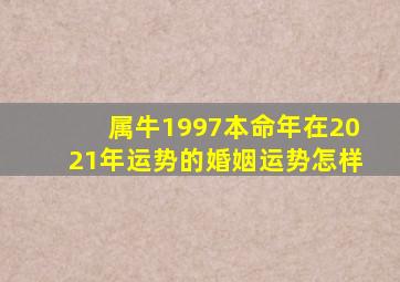 属牛1997本命年在2021年运势的婚姻运势怎样