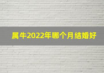 属牛2022年哪个月结婚好