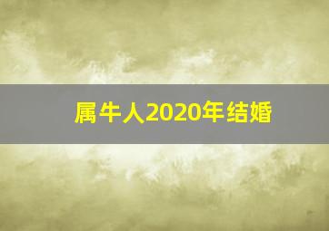 属牛人2020年结婚