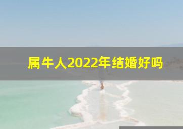 属牛人2022年结婚好吗