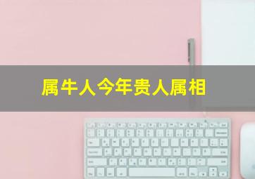 属牛人今年贵人属相