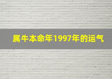 属牛本命年1997年的运气