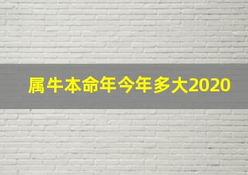 属牛本命年今年多大2020