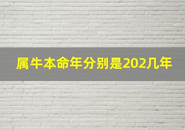 属牛本命年分别是202几年