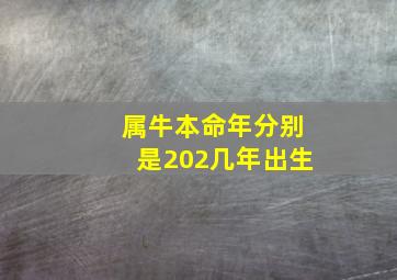 属牛本命年分别是202几年出生