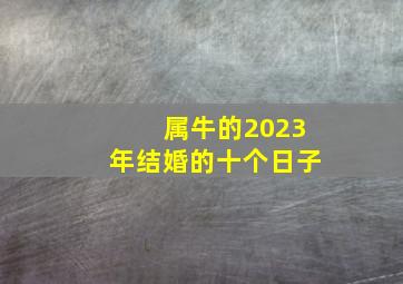 属牛的2023年结婚的十个日子