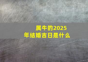 属牛的2025年结婚吉日是什么