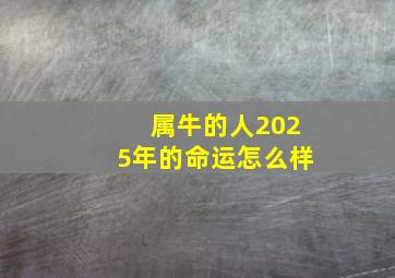 属牛的人2025年的命运怎么样