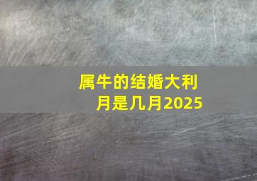 属牛的结婚大利月是几月2025