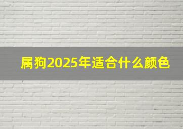 属狗2025年适合什么颜色