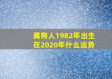 属狗人1982年出生在2020年什么运势