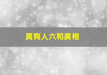 属狗人六和属相