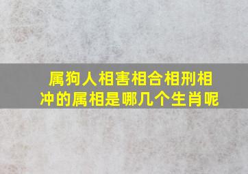 属狗人相害相合相刑相冲的属相是哪几个生肖呢