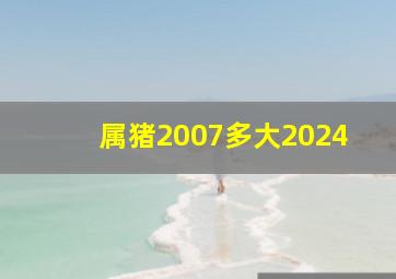 属猪2007多大2024