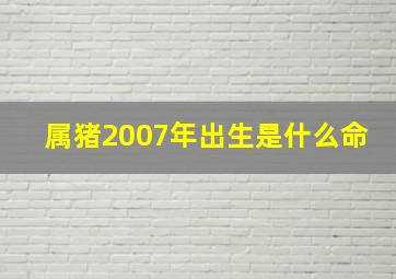 属猪2007年出生是什么命