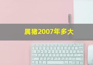 属猪2007年多大