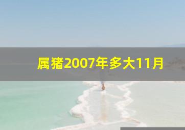 属猪2007年多大11月