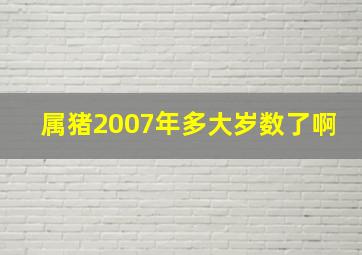 属猪2007年多大岁数了啊