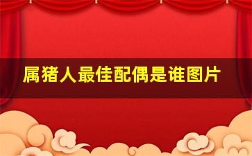 属猪人最佳配偶是谁图片