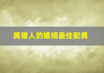 属猪人的婚姻最佳配偶