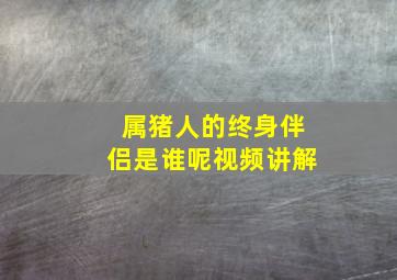 属猪人的终身伴侣是谁呢视频讲解